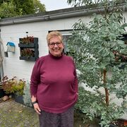  Pravets,   Cvetanka, 57 ,   ,   