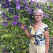 ���������� ����������, ���� ������� �����, 71 ���, ������������ ��� ������, ����� � ���������, c�������� ���������