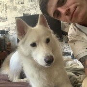 ���������� ������, ���� ������� ������, 27 ���, ������������ ��� ����� � ���������, c�������� ���������