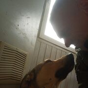 ���������� �����������, ���� ������� ����, 43 ����, ������������ ��� ������, ����� � ���������