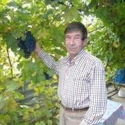  ,   Leonid142, 70 ,   ,   , c 