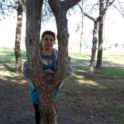  ,   , 52 ,  