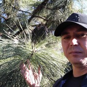  Myslowice,  , 43