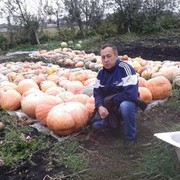  ,   , 62 ,   ,   , c 