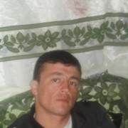  ,   Zloetigr, 35 ,   ,   , c 
