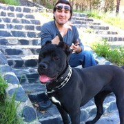  ,   Temo, 42 ,   ,   , c 