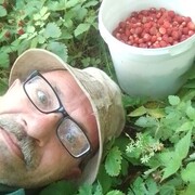  ,   , 63 ,     