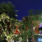  ,   , 50 ,   ,   , c 