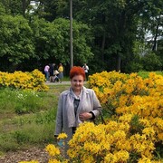 ���������� �����, ���� ������� �����, 58 ���, ������������ ��� c�������� ���������