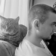 ���������� ����, ���� ������� ���������, 36 ���, ������������ ��� ����� � ���������, c�������� ���������