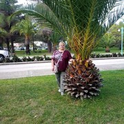  ,   , 63 ,   ,   , 