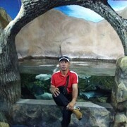  ,   , 49 ,   ,   