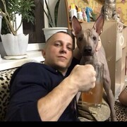 ���������� ����������, ���� ������� ������, 35 ���, ������������ ��� ����� � ���������, c�������� ���������