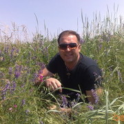  ,   , 53 ,   