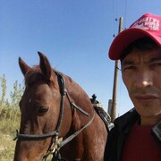 ���������� ������, ���� ������� ��������, 36 ���, ������������ ��� ������, ����� � ���������