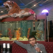 ���������� ������, ���� ������� Anvar, 30 ���, ������������ ��� ������, ����� � ���������, c�������� ���������