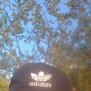  ,  , 54