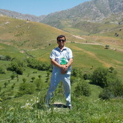  ,  Otash, 43