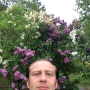 ���������� ������, ���� ������� �������, 41 ���, ������������ ��� ������, ����� � ���������, c�������� ���������