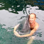 ���������� �����������, ���� ������� �������, 56 ���, ������������ ��� ������, ����� � ���������