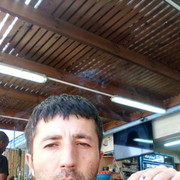 ���������� �������, ���� ������� Zauri, 40 ���, ������������ ��� ������, ����� � ���������, c�������� ���������