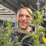 ���������� ������, ���� ������� �������, 42 ����, ������������ ��� ������, ����� � ���������