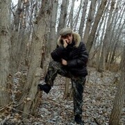  ,   , 95 ,  