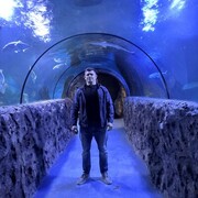 ���������� ������, ���� ������� Alex, 43 ����, ������������ ��� ������, ����� � ���������