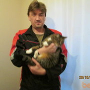 ���������� ����, ���� ������� ���������, 50 ���, ������������ 