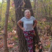 ���������� �������, ���� ������� �������, 66 ���, ������������ ��� c�������� ���������