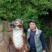 ���������� ����������, ���� ������� �������, 41 ���, ������������ ��� ������, ����� � ���������