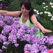  ,   , 53 ,   ,   