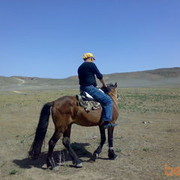  ,   Han, 44 ,   