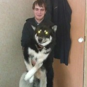 ���������� ������, ���� ������� �����, 37 ���, ������������ ��� ������, ����� � ���������, c�������� ���������