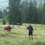 ���������� �������, ���� ������� ��������, 40 ���, ������������ ��� ������