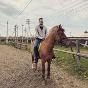 ���������� ������, ���� ������� Andrey, 31 ���, ������������ ��� ������, ����� � ���������