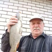 ���������� ���������, ���� ������� ����, 66 ���, ������������ ��� ������, ����� � ���������, c�������� ���������, ���������