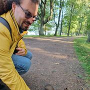 ���������� ������, ���� ������� �����, 36 ���, ������������ ��� ������