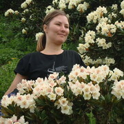 ���������� ����������, ���� ������� ���������, 33 ����, ������������ ��� ������, ����� � ���������