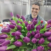 ���������� ����������, ���� ������� ������, 38 ���, ������������ ��� ������, ����� � ���������, c�������� ���������