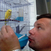  --,   , 44 ,     , c 