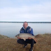 ���������� �����������, ���� ������� �������, 40 ���, ������������ ��� ����� � ���������, c�������� ���������