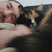 ���������� ����, ���� ������� ������, 42 ����, ������������ ��� ������, ����� � ���������