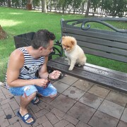 ���������� ���������, ���� ������� �������, 39 ���, ������������ ��� ������, ����� � ���������, c�������� ���������