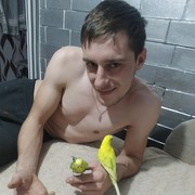 ,  cristi, 29