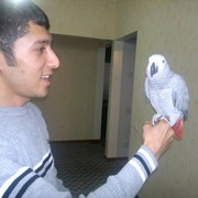 ���������� �������, ���� ������� BaXRoM, 34 ����, ������������ ��� ������