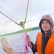 ���������� ���������, ���� ������� ����, 33 ����, ������������ ��� ������, ����� � ���������, ���������