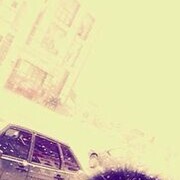  -,   , 31 ,   ,   