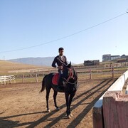 ���������� ������, ������� �����, 29