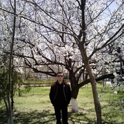 ���������� ������, ���� ������� Levon, 35 ���, ������������ ��� ������